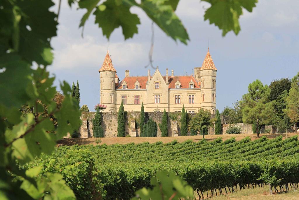Chateau Moncassin Leyritz-Moncassin Εξωτερικό φωτογραφία